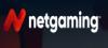 Net Gaming
